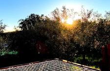 AMEIO - Country House - Foto 30