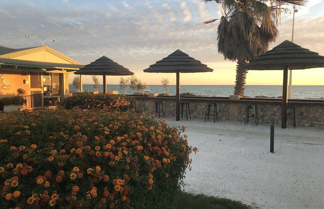 Shark Bay Seafront Apartments - Photo 67