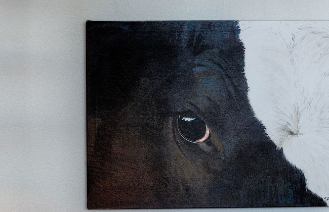 Chalet Arvine - Foto 19