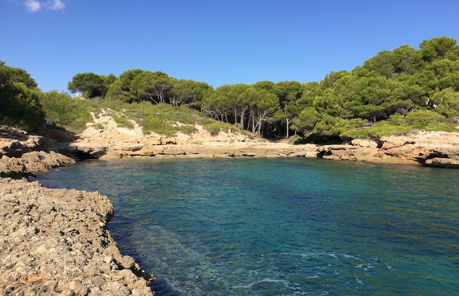 Villa Cala Blanca - Photo 46