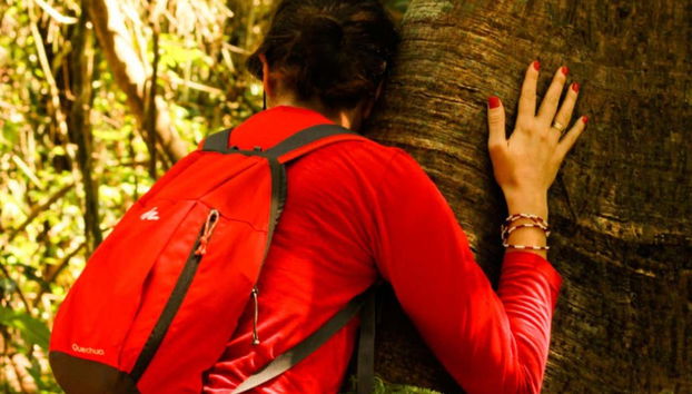 Conhecendo as espécies da flora amazônica