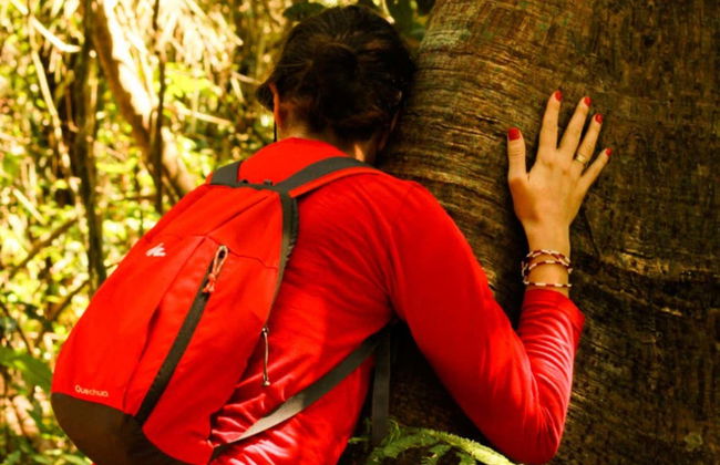 Trilha pela flora e fauna amazônica em Rio Branco - Foto 2