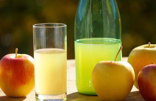 Waalhof Ferienwohnung Kastanie - Foto 19