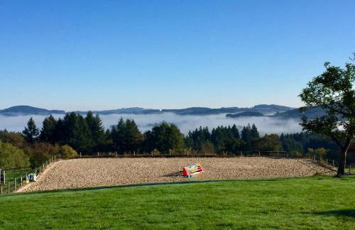 Les Perruchons ancienne grange rénovée avec soin - Foto 42
