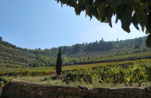 Quinta das Aveleiras - Foto 45