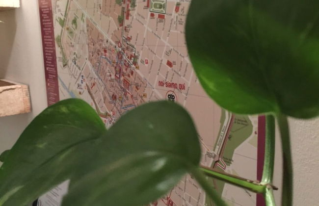 Low Cost Ferrara - Foto 38