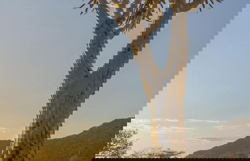 Solitaire Desert Farm - Foto 43