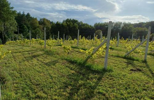 Siedlisko Dwa Żurawie - Uroczy domek nad stawem, z kominkiem, obok konie - Foto 28