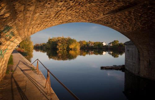 La Bûcherie - Appartement cœur de ville classé 3 étoiles - Photo 71