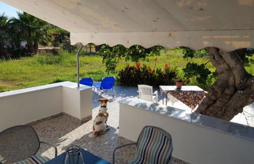 Eleni B&B - Photo 23