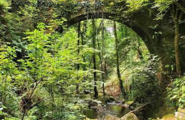 O Cerrulo Apartamento céntrico Pontedeume - Photo 35