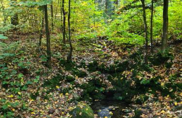 Apartamenty na Wzgórzu Boho 1- Jacuzzi, sauna, survival, free parking - Foto 32