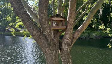 NATURE e SPA AL - Termas Saúde e Beleza, Totalmente Renovado - Piscinas Municipais em frente - Epoca Julho a Setembro - Photo 4