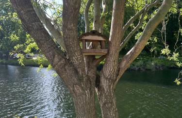 NATURE e SPA AL - Termas Saúde e Beleza, Totalmente Renovado - Piscinas Municipais em frente - Epoca Julho a Setembro - Foto 4