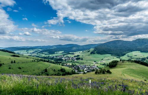 FEWO 2 Panoramablick - NEU incl 3-WeltenCard mit 140 kostenlosen Attraktionen - Foto 38