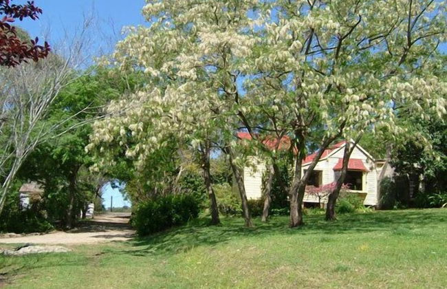 Hermitage Cottage - Photo 14