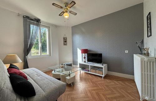 Maison cosy avec jardin entre canal et Loire - FR-1-489-550 - Foto 9