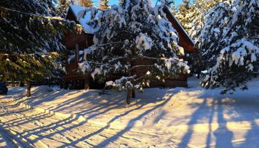 Pod Dębem Bis - Foto 3