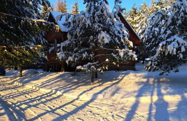 Pod Dębem Bis - Foto 3