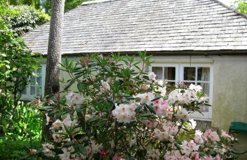 Porthallow Lodge 350m to SWCP Talland Bay Retreat - Foto 7