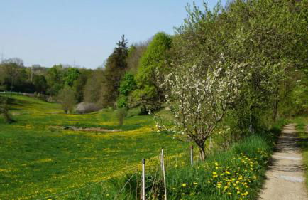 Zum Alten Eselstall - Foto 11