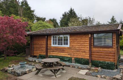 Snowdonia Log Cabin 2 - Foto 1