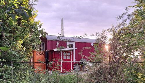 Bauwagen "Rhumeblüte" - Foto 2