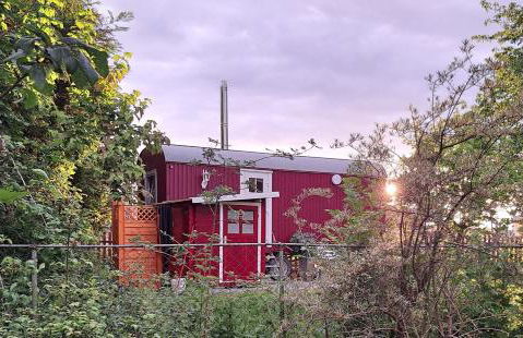 Bauwagen "Rhumeblüte" - Foto 2