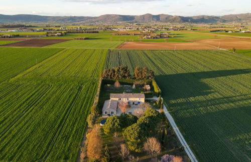 l esquisse - Foto 14