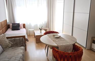 2 x Apartments bei Augsburger Platz 1x Nr 5 - Studio Apartment mit Balkon und Parkplatz und 1 x Nr5-B - 2 ZW ohne Balkon und Parkplatz - Foto 14