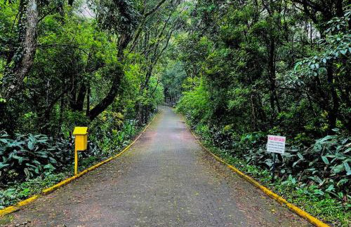 Loft aconchegante - Foto 3