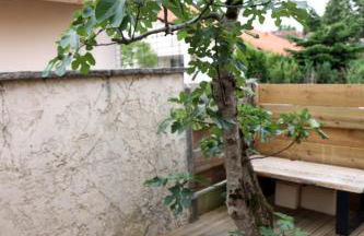 Cab-Appart Mont de Marsan - Foto 26