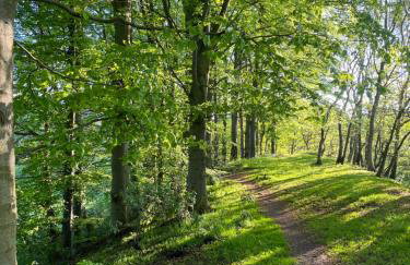 Unbox at Poplar Tree - Photo 77