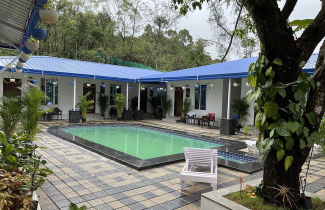 Buddha Tree Home Stay - Foto 10