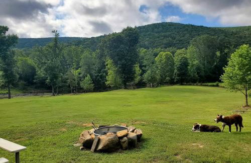 Impressive Cabin Surrounded by Trees in Nashoba, Oklahoma - Foto 26