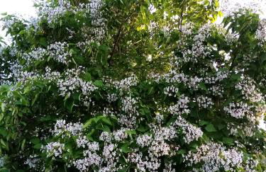 PETIT APPARTEMENT 30M2, 3 lits, de 1 à 4 pers - Foto 53