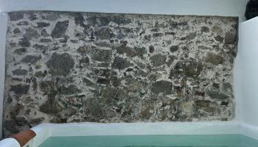 Pé na Terra Quintal - Foto 1