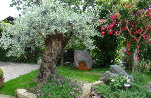 Obermaratscher Apartments Residence - Foto 11