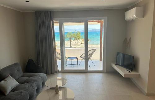 Asaminthos - Foto 15