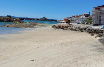 4 Palmeiras - Foto 25