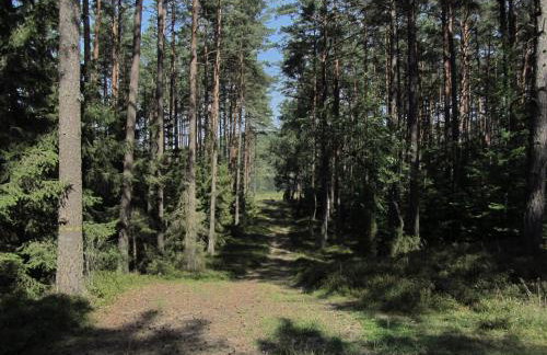 Domek Smerfna Chatka - Foto 12