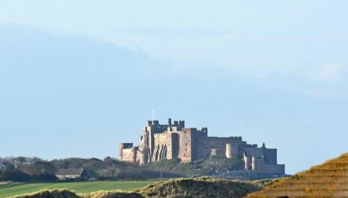 Castle View at the Viking - Photo 4