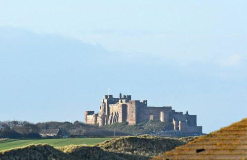 Castle View at the Viking - Photo 4