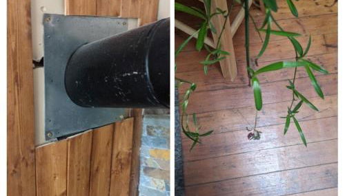 Plant House - Foto 2