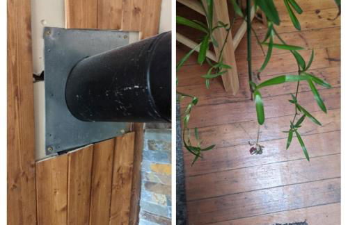 Plant House - Foto 2