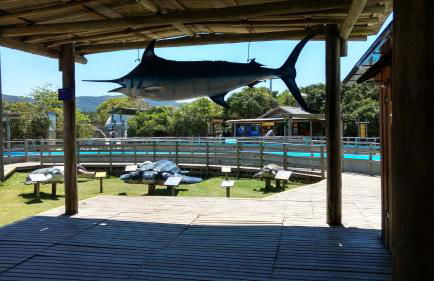 Studios Formanabá - Foto 60