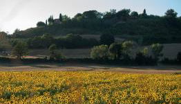 podere il poggetto - Foto 2