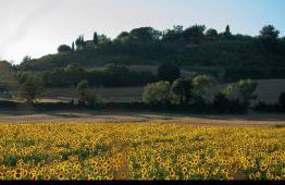 podere il poggetto - Foto 2