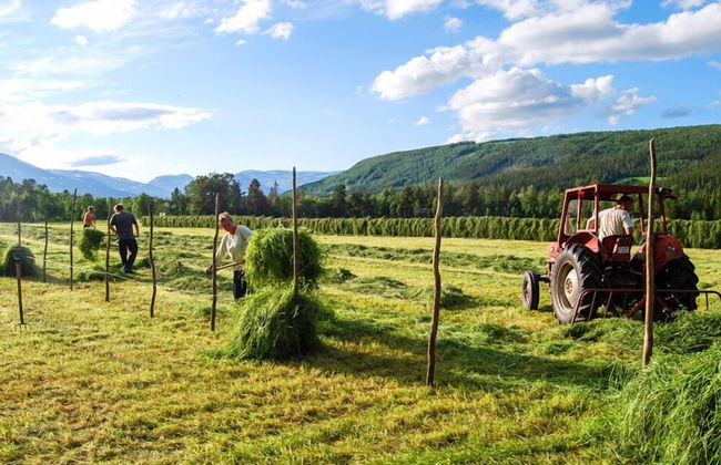 Furuheim Gard - Foto 28