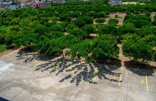 ΑΚΤΗ ΞΟΒΡΙΟΣ - Photo 34